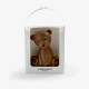 Teddy FrischSchoggi de Leite 70g