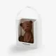 Teddy FrischSchoggi de Leite 70g