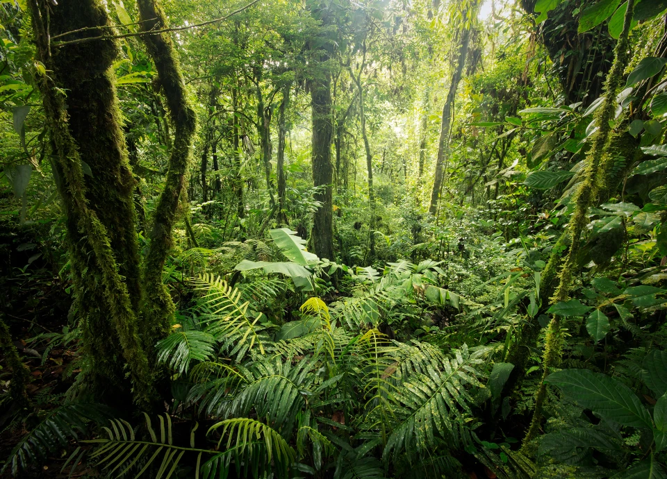 Sustentabilidade - mais do que um projeto